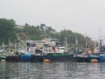 Port de pêche de Fontarrabie