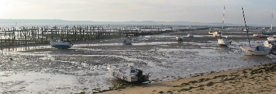 Parcs à huîtres et bateaux de plaisance