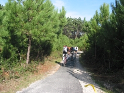 Voie cyclable au Cap Ferret