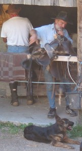 Un randonneur à cheval