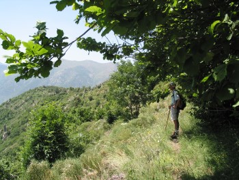 Autour du Canigou