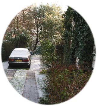 La BMW sous la neige
