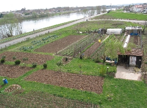 Les jardins ouvriers