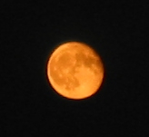 Lune rousse à son lever