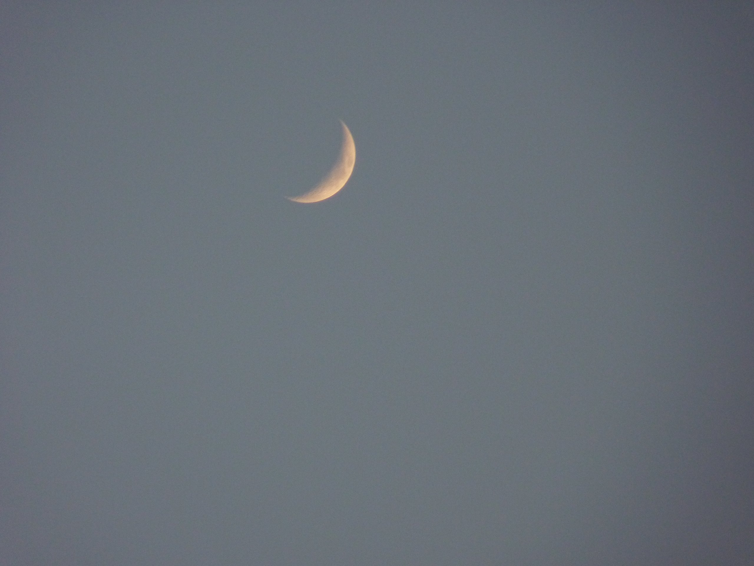 iP1380692