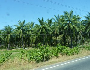 cP1430965 1