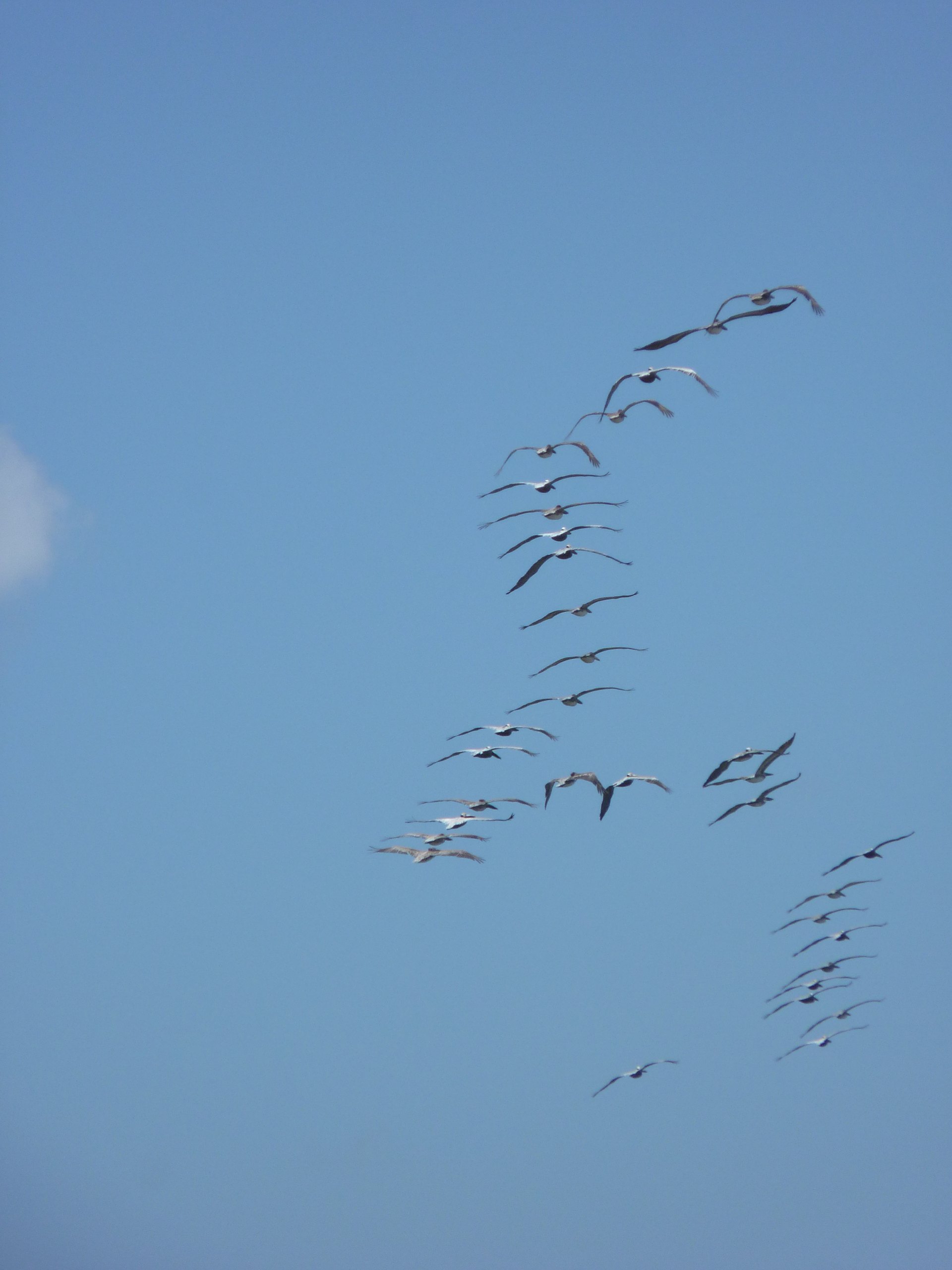 cP1440223 1 rotated e1661672213309