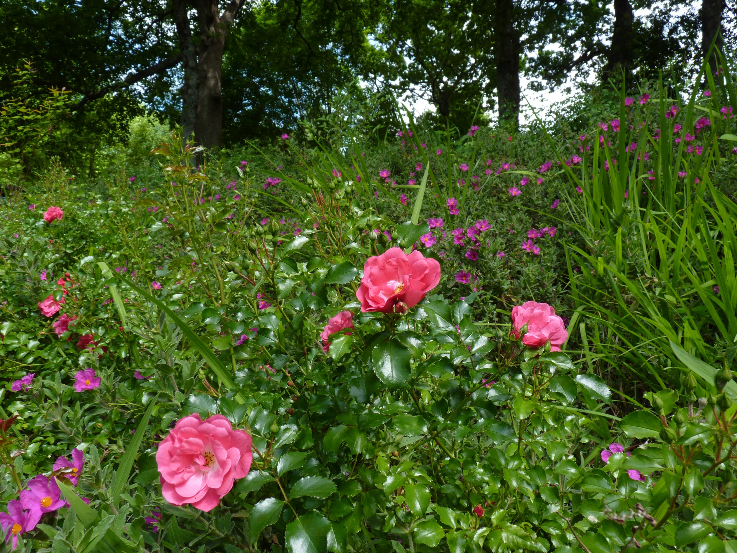 aP1460611