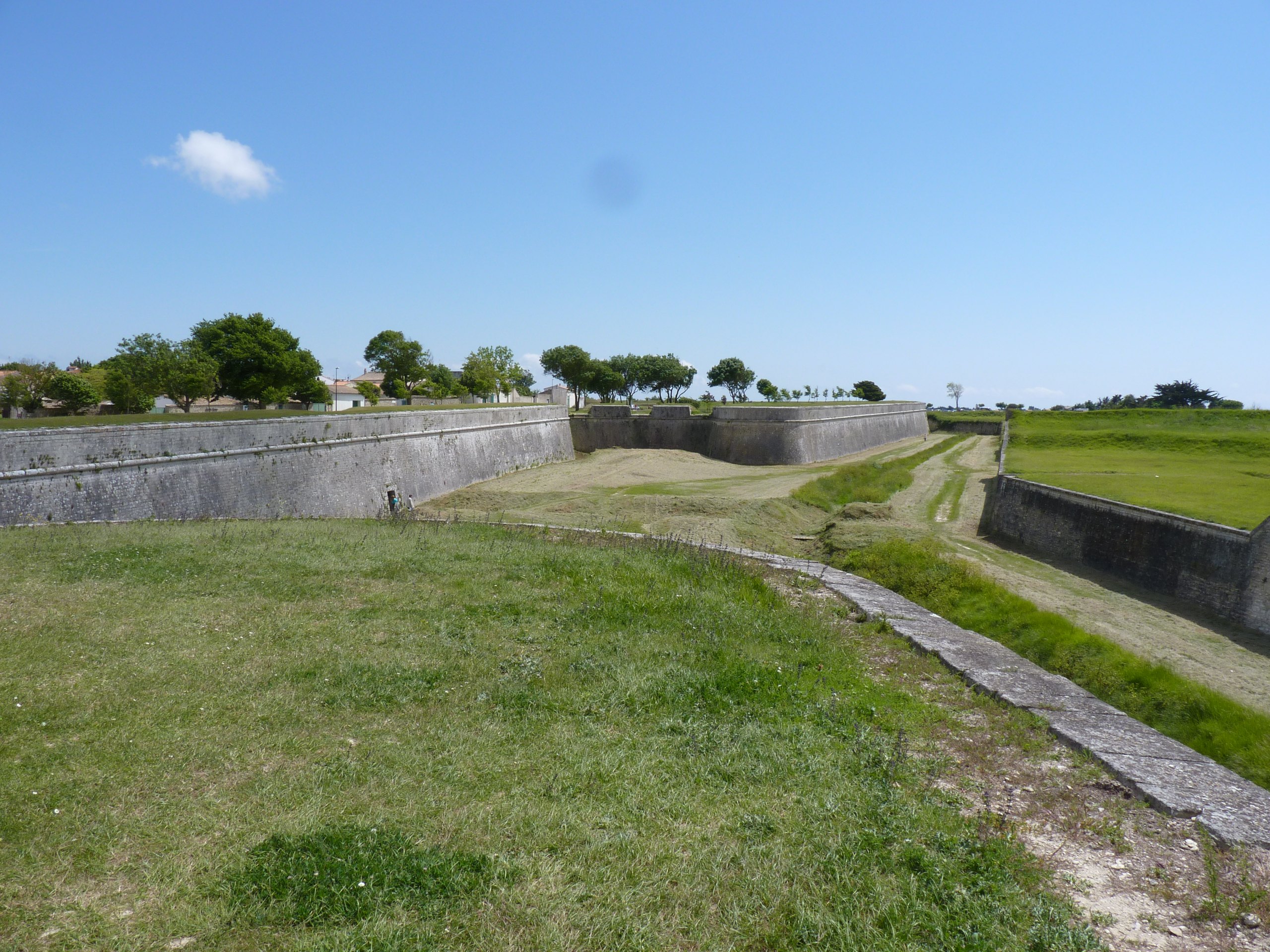 iP1460647 1