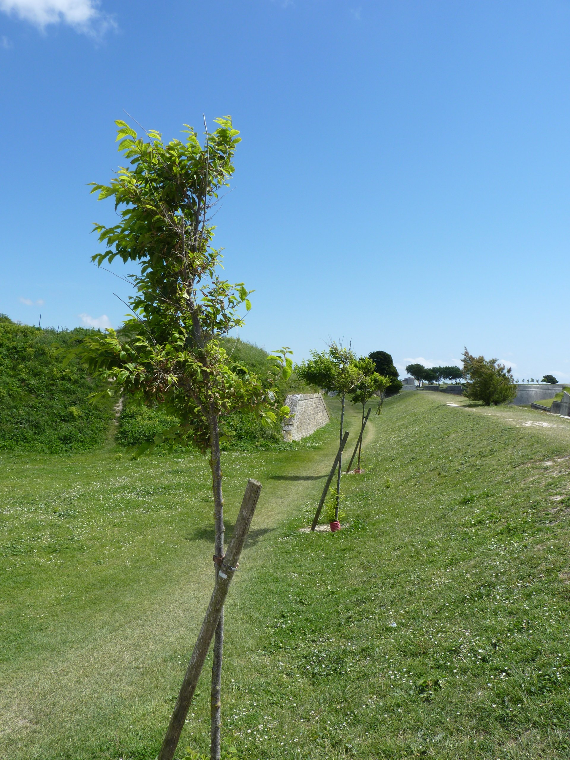 iP1460658 1