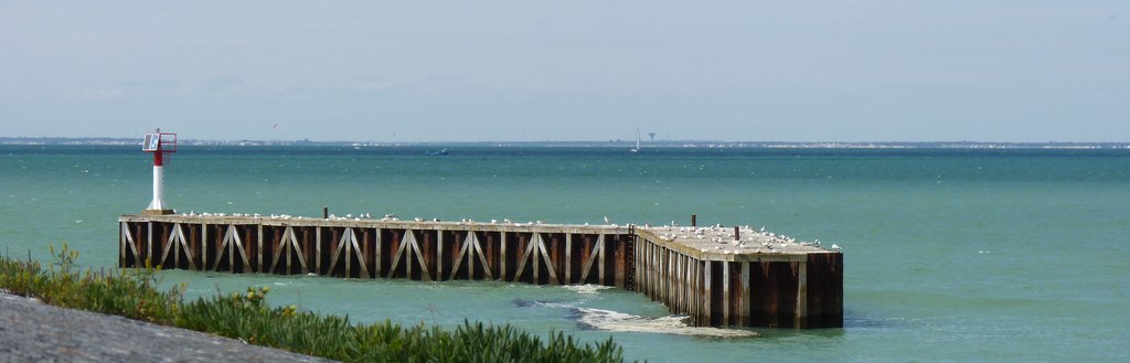 iP1460672 2