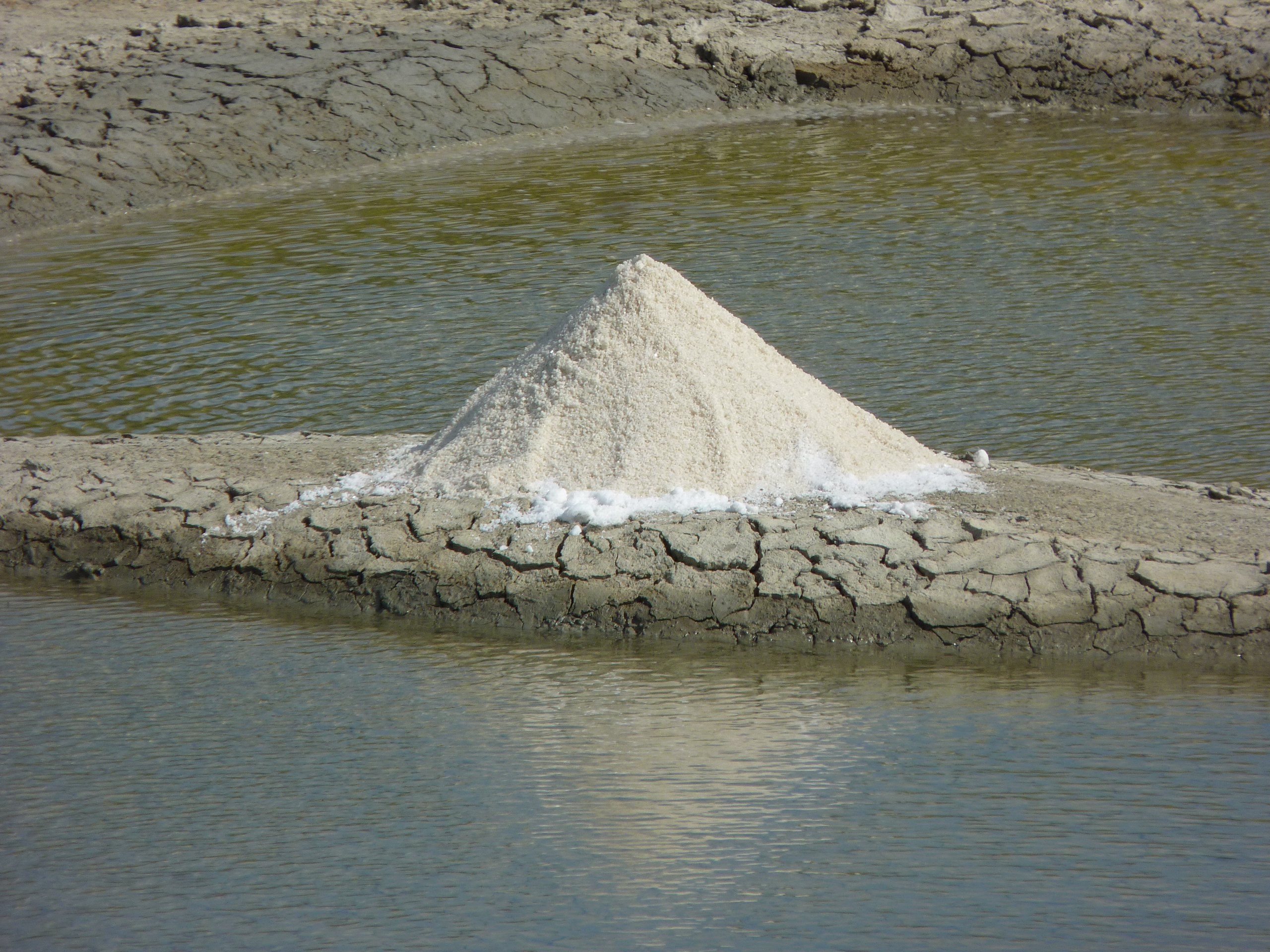 iP1460721 1