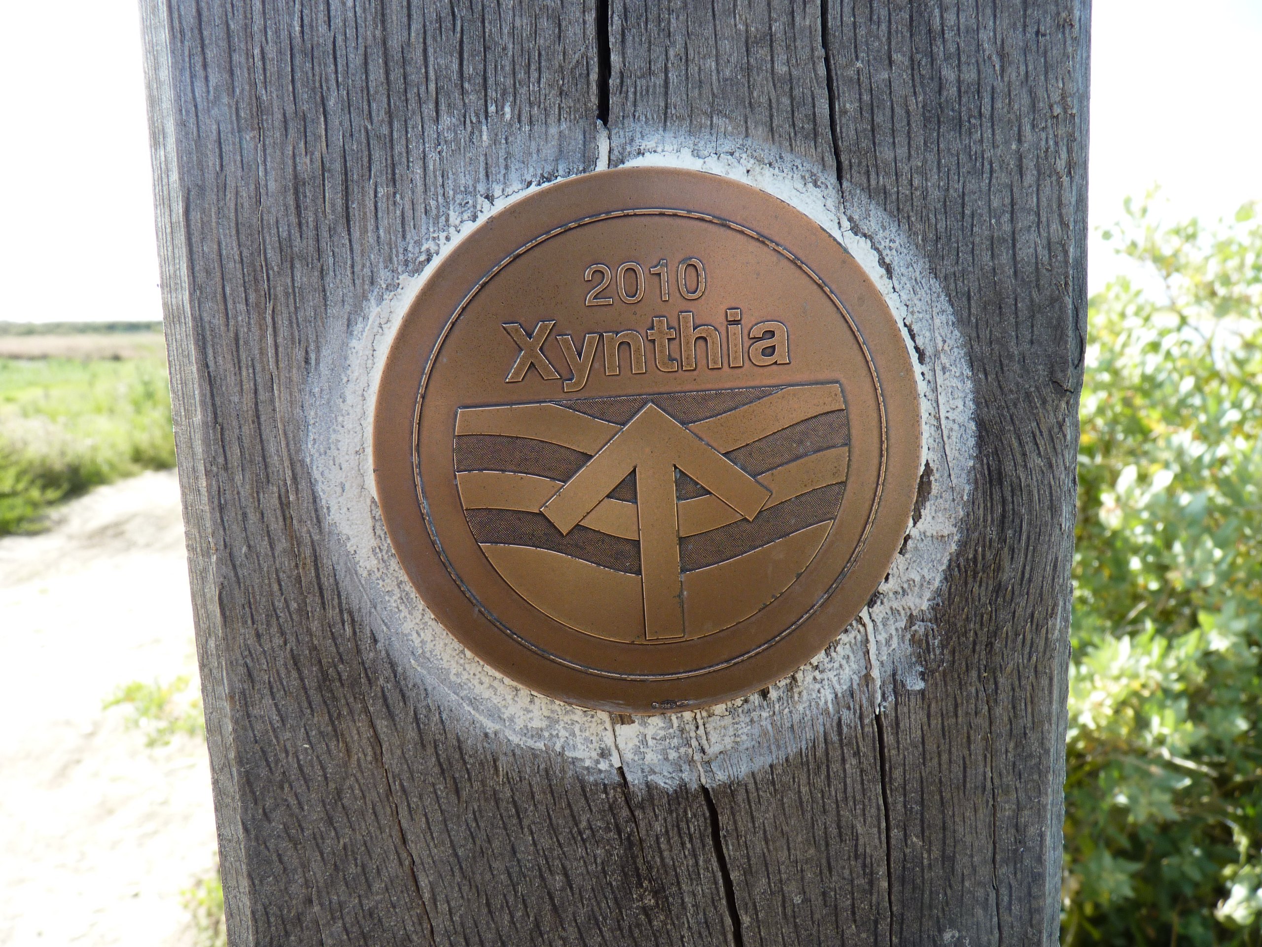 iP1460795 1