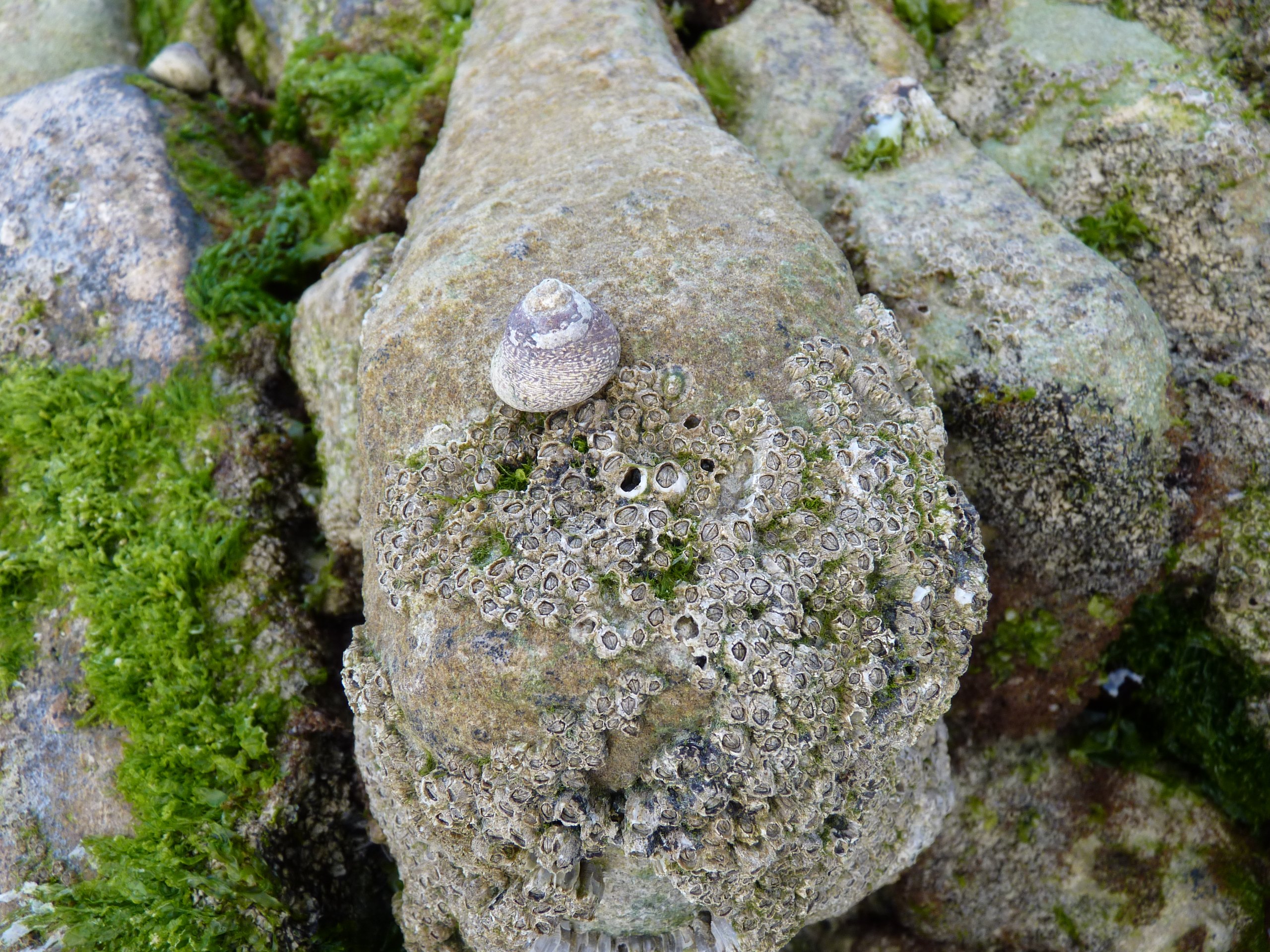 iP1470056 1