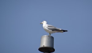 qDSC07758 1