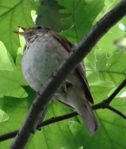 qDSC07921 1