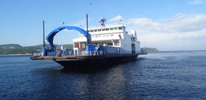 qDSC08022 1