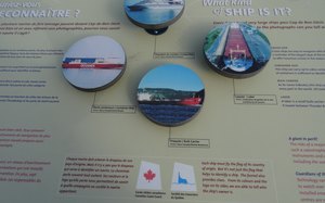 qDSC08039 1