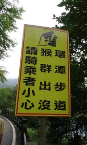 aDSC04920 rotated e1657964204798