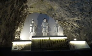 aDSC05167 1