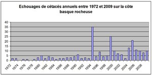 echouages cetaces2