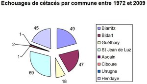 echouages par commune