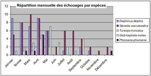 echouages repart mensuelle