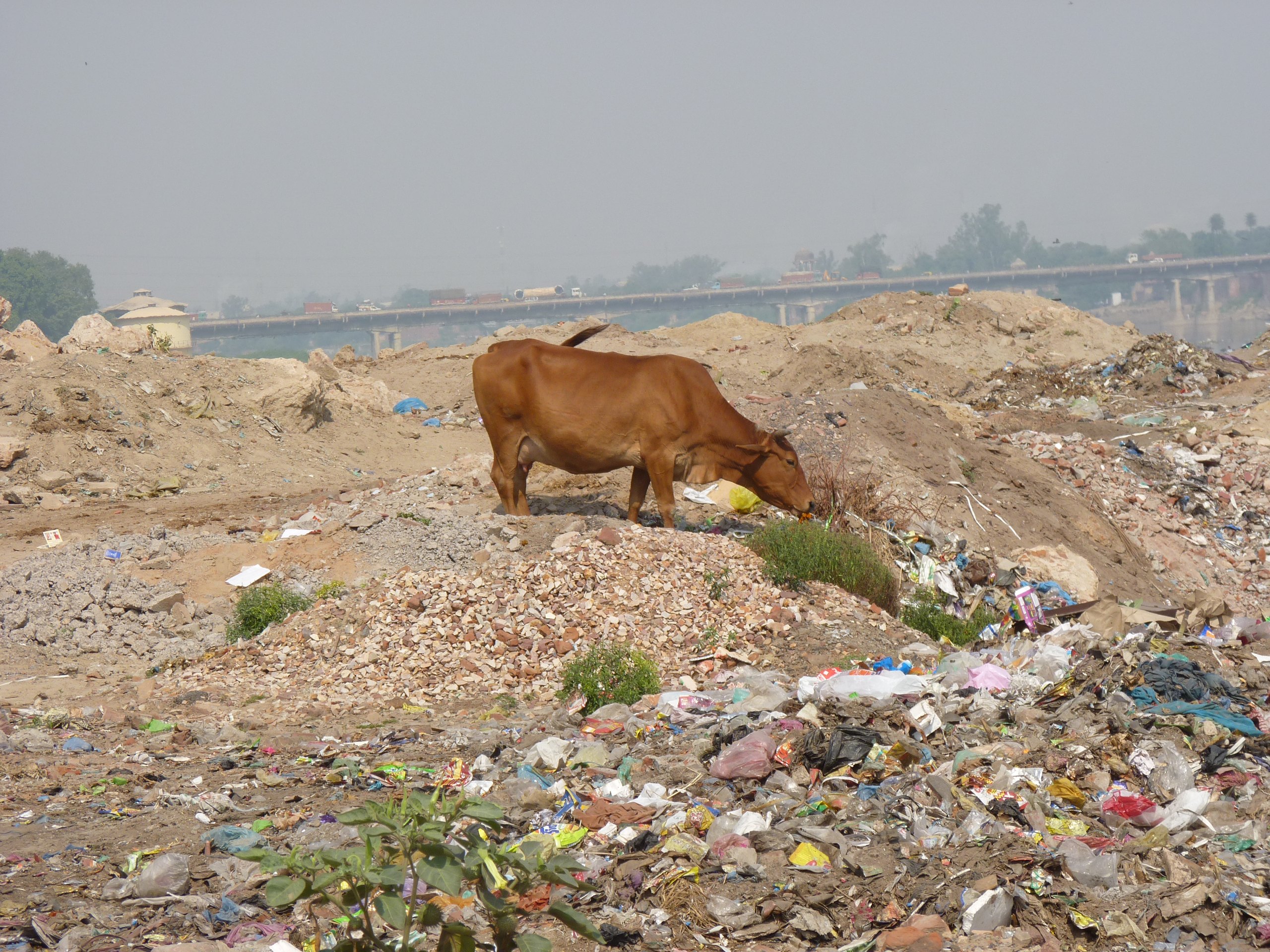 iP1370692