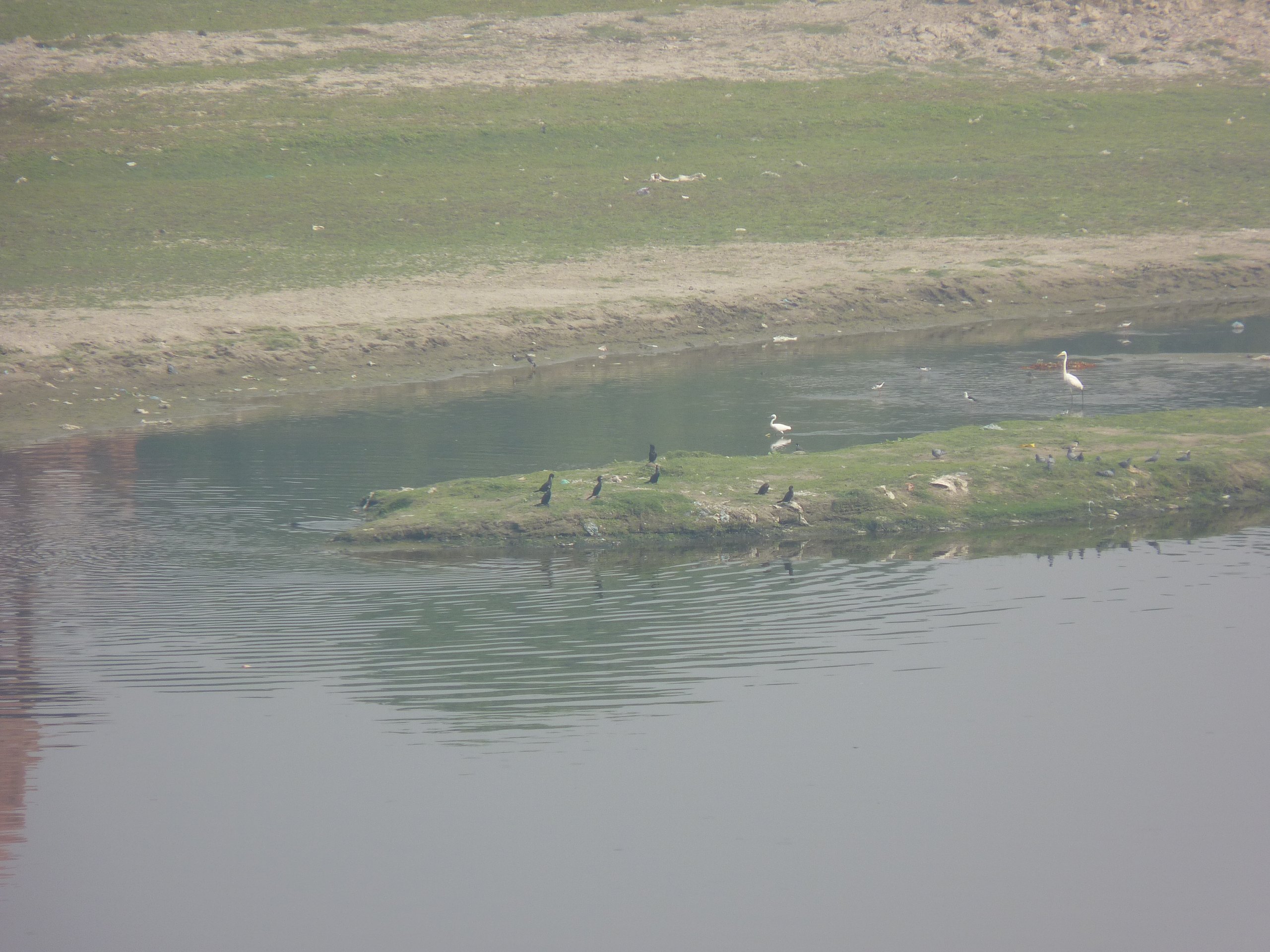 iP1370790