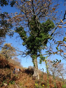 bDSC01211 1