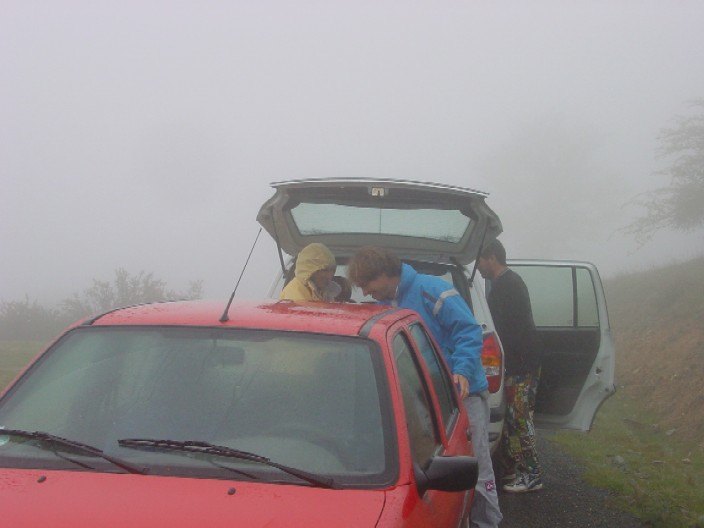 colbrouillard