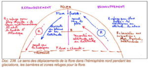 flore deplacement