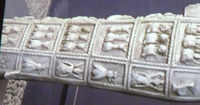 cDSC01404