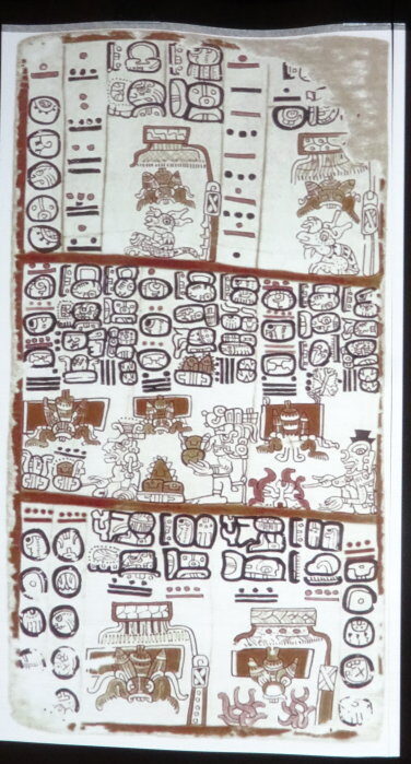 cDSC01406