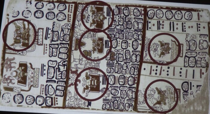 cDSC01407