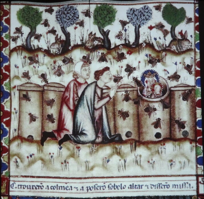 cDSC01410