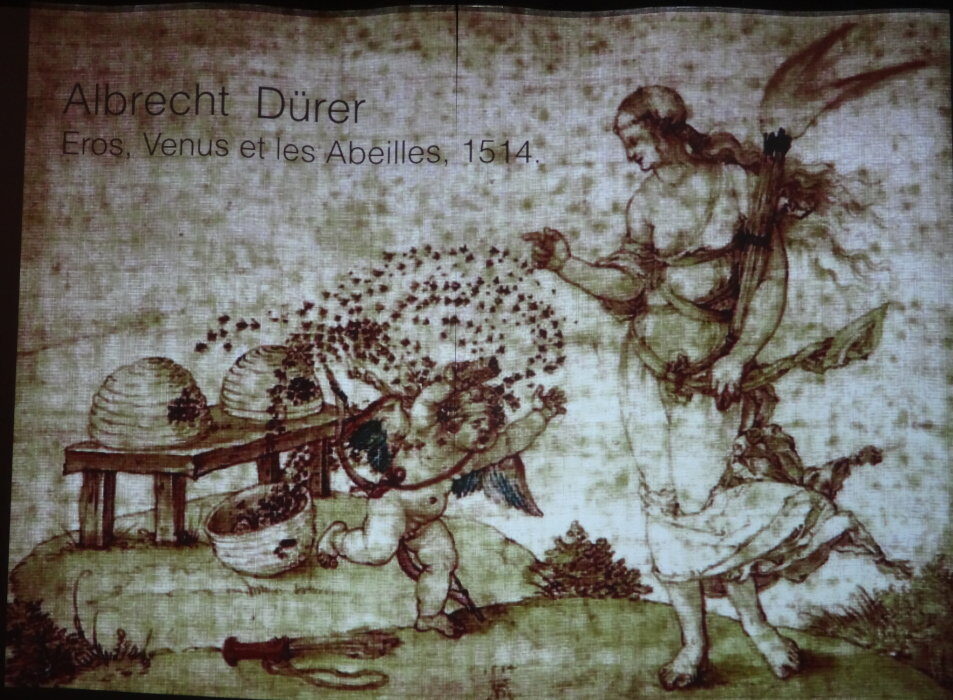 cDSC01412
