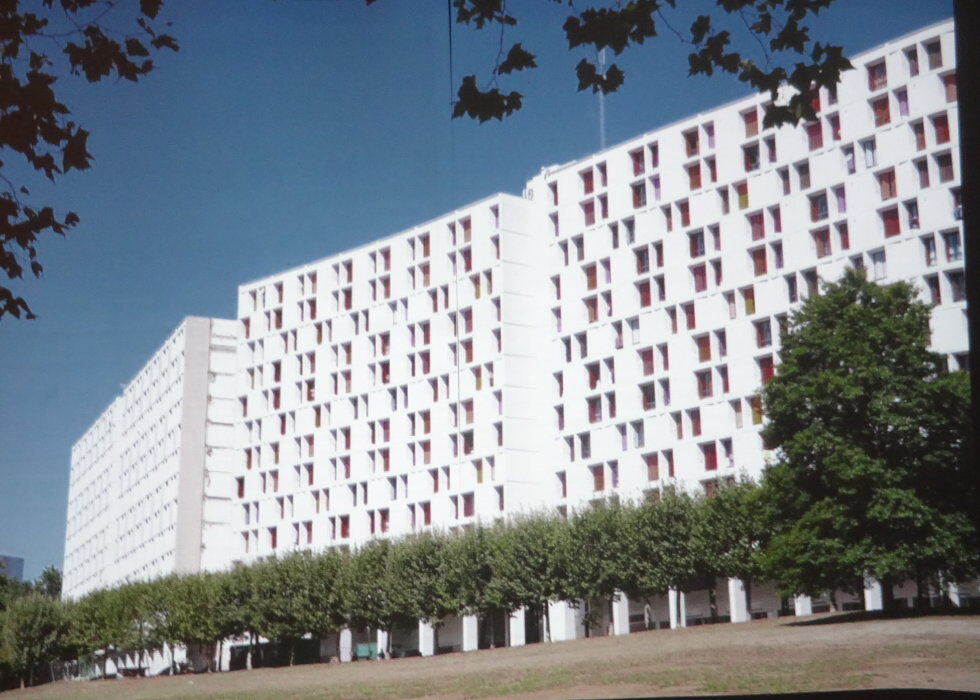 cDSC01450