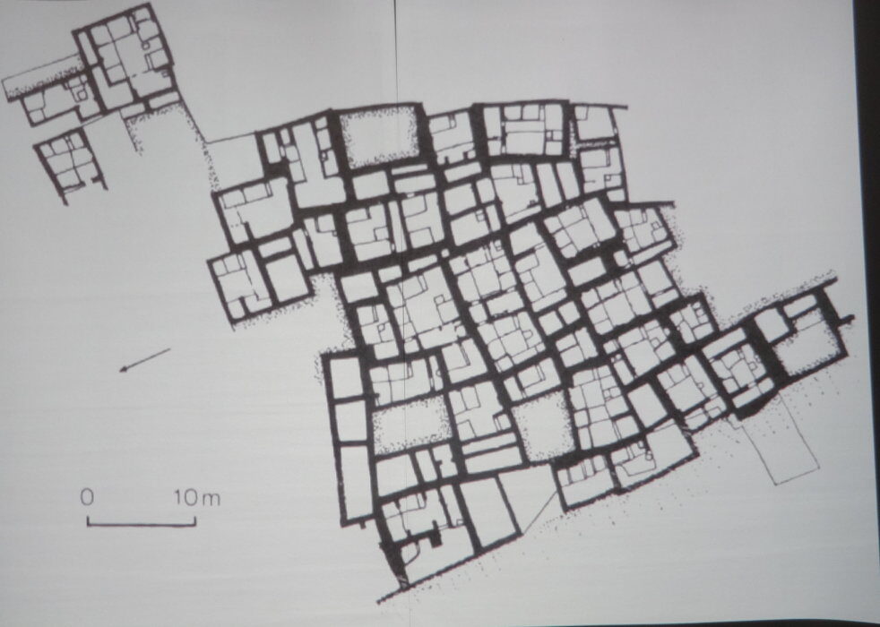 cDSC01453