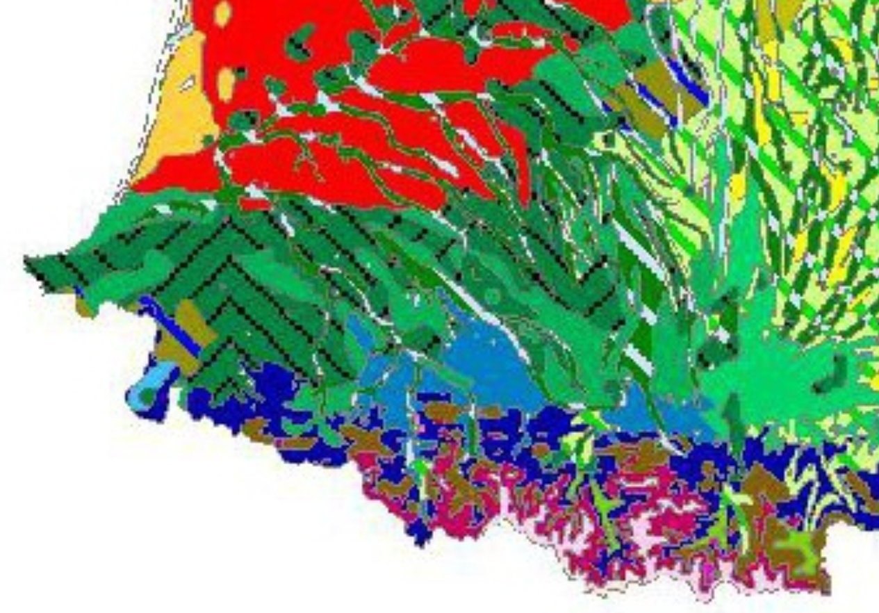 carte vegetation