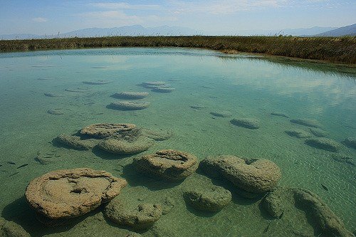 cuatro cienegas
