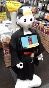 b20190513 141837 1 rotated e1657040477780