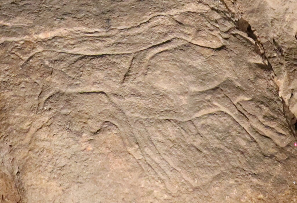 cIMG 2381