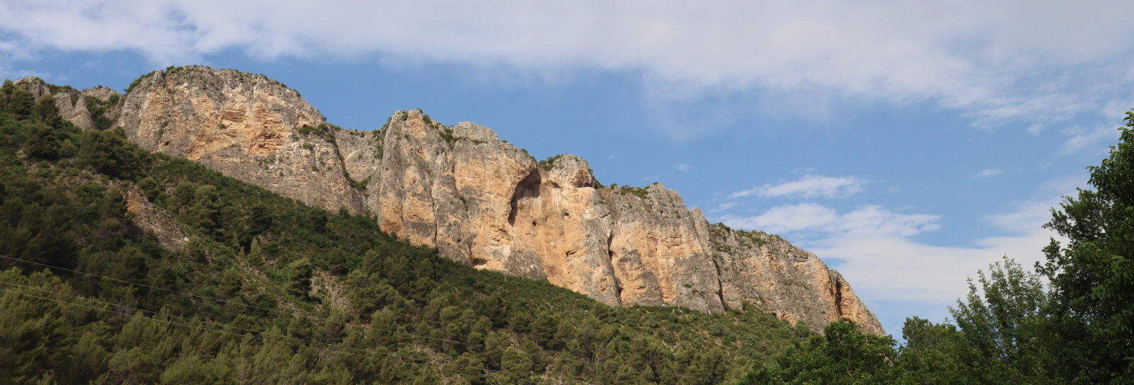 digne IMG 3611