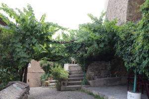 digne IMG 3627