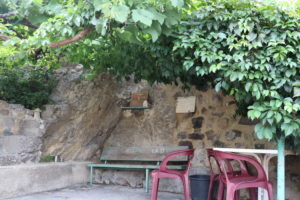 digne IMG 3628