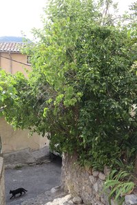 digne IMG 3633 1 rotated e1656962218329