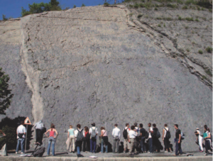 digne ammonites img 1
