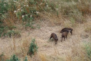 frejus IMG 3415