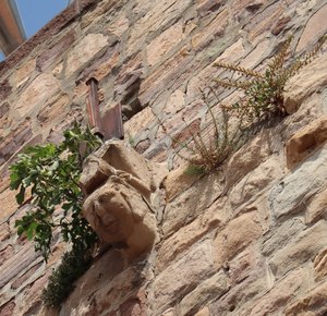frejus cloitre IMG 3297